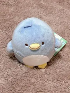 すみっコぐらし　ぺんぎん　本物