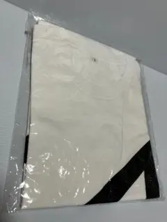 Item thumbnail for item b5e65e2a-c6ee-449c-b78a-5a4580577250