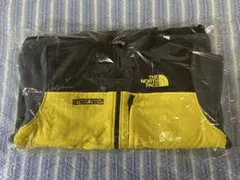 THE NORTH FACE STEAP TECH フリースジャケット