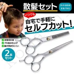 【最終処分】 ２本セット 家庭用 はさみ 散髪セット すきバサミ 美容師 理容師