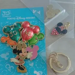 ディズニーランド30周年限定記念キーホルダー