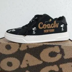 Item thumbnail for item 093fa3fd-2fbe-425c-9fa4-223f4f4d0c7a