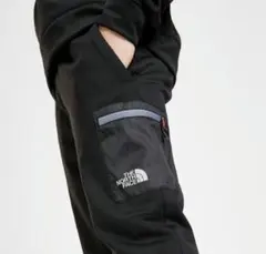 ノースフェイスダウンパンツ