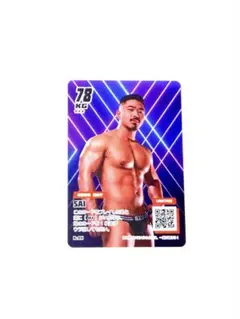 GRM グラム 【SAI】 GOGOBOY TCG トレカ