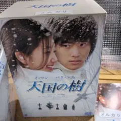 2025年最新】天国の樹 DVD-BOX イ・ワンの人気アイテム - メルカリ