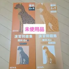 【四谷大塚】予習シリーズ6年生 理科・下/演習問題集・下(未使用)　難関校対策