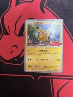 ピカチュウ カード HP60 ポケモンパン