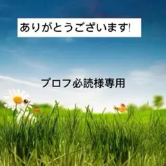 専用のサムネイル