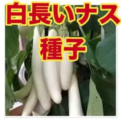 みっちゃん様 リクエスト 3点 まとめ商品