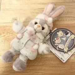 ステラルー トゥインクルウィンター　ぬいぐるみバッジ 2018 ディズニー ダッフィーフレンズ 2018 トゥインクルウィンター