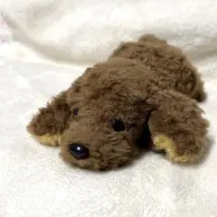 モンスイユ　日本製　トイプードル　ぬいぐるみ　3こセット　くたくたポーズ　中古品 モンスイユ 日本製 トイプードル ぬいぐるみ 3こセット くたくた