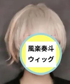 最終値下げ 風楽奏斗 コスプレ ウィッグ