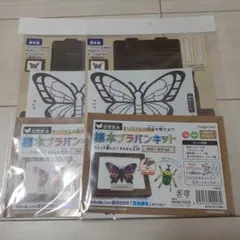 標本プラバンキット 2個セット