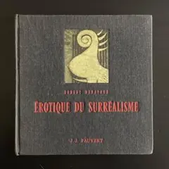 ラルース 仏辞書 LE PETIT LAROUSSE illustre 2013 - メルカリ