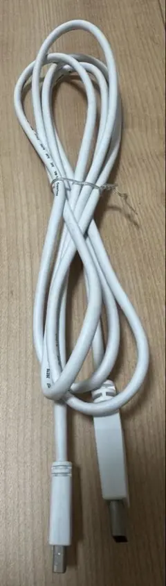 Thunderbolt Port - DisplayPort
