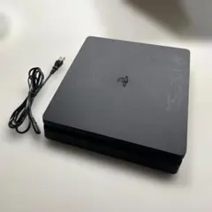 PlayStation 4 本体 SSD換装済 1000GB
