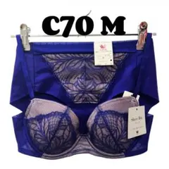 C70 ワコール [Sheer Bra] シアーブラ ブラジャー &ショーツ