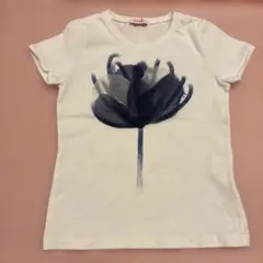 イルグッホ Tシャツ サイズ3