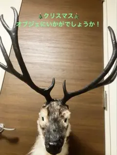 鹿の頭オブジェ