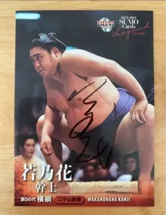 2025年最新】2代目若乃花の人気アイテム - メルカリ