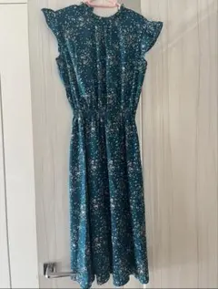 Item thumbnail for item 12c51307-dab1-41c1-a73a-df1c0f37ef03