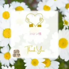 コロン様 おまとめパーツ.。.:*☆