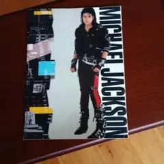 マイケル・ジャクソン 1988年 ジャパンツアー パンフレット+チケット半