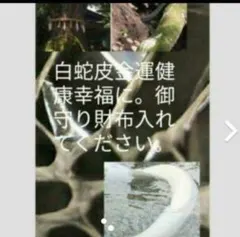 Item thumbnail for item ab3f67b5-a103-49e8-8709-60e694e81267