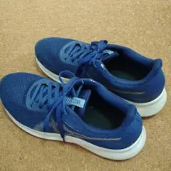 Item thumbnail for item b93ea642-1616-45d9-9f01-795cd09d5d19