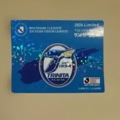 サンダー様 リクエスト 2点 まとめ商品