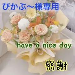 ぴかぶ〜様専用　補正下着　ガードル