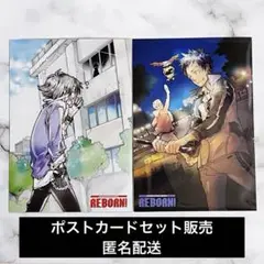 【切り離しのみ未使用】REBORN!　ポストカード　2点セット