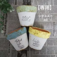 けろこ☆様 リクエスト 3点 まとめ商品