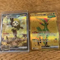 メロエッタexSAR、テツノイサハex ur