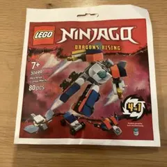 LEGO Ninjago 30699 Dragons Rising