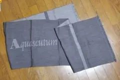 アクアスキュータム マフラー