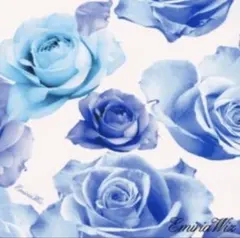 あまぐり様専用