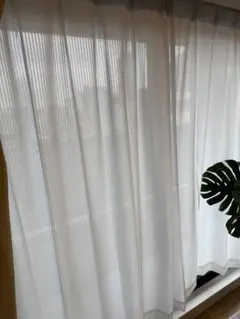 Item thumbnail for item 205a2546-9e06-46c6-bd71-e3d44bbd552c