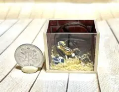 ドールハウス ミニチュア ハンドメイド ケージ 小動物 シマリス
