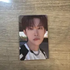 ald1 ゴヌ トレカ