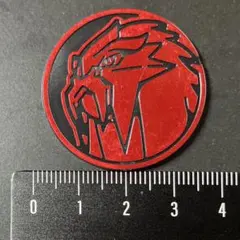 ポケモンご当地ピンズコレクション 富士山限定 赤富士 金メッキver