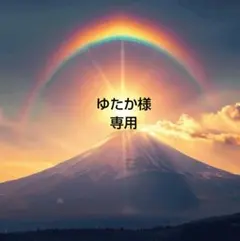 ゆたか様 リクエスト 2点 まとめ商品