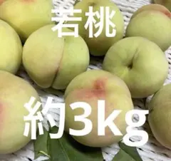 4.若桃 摘果桃 加工 桃 山梨県産 約3kg - メルカリ
