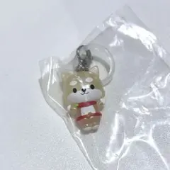 めじるしアクセサリー JOCHUM まめちぃ