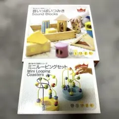 ☆Ed.inter (エドインター) 音の出る積み木とミニルーピングセット☆
