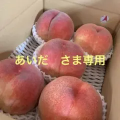 山梨一宮のめっちゃ甘い桃　超特大サイズを5個詰めて発送 人気商品　終了間近