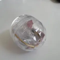 わんこのタイムカプセル