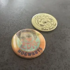 Cedric Diggory ピンバッジ Harry Potter