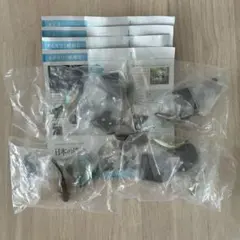 日本の清流　増補特装版　カジカ　アユ　オイカワ　オイカワ