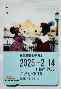 【大人気！】東京ディズニーリゾートライン　フリーきっぷ ミッキー＆ミニー